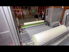 टीडीपीबी-1900 हाई-एंड सीएनसी छीलने की मशीन